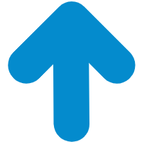 JT shang blue