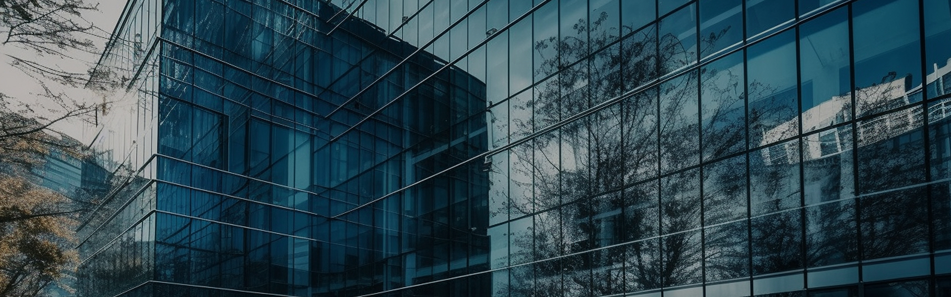 banner-about