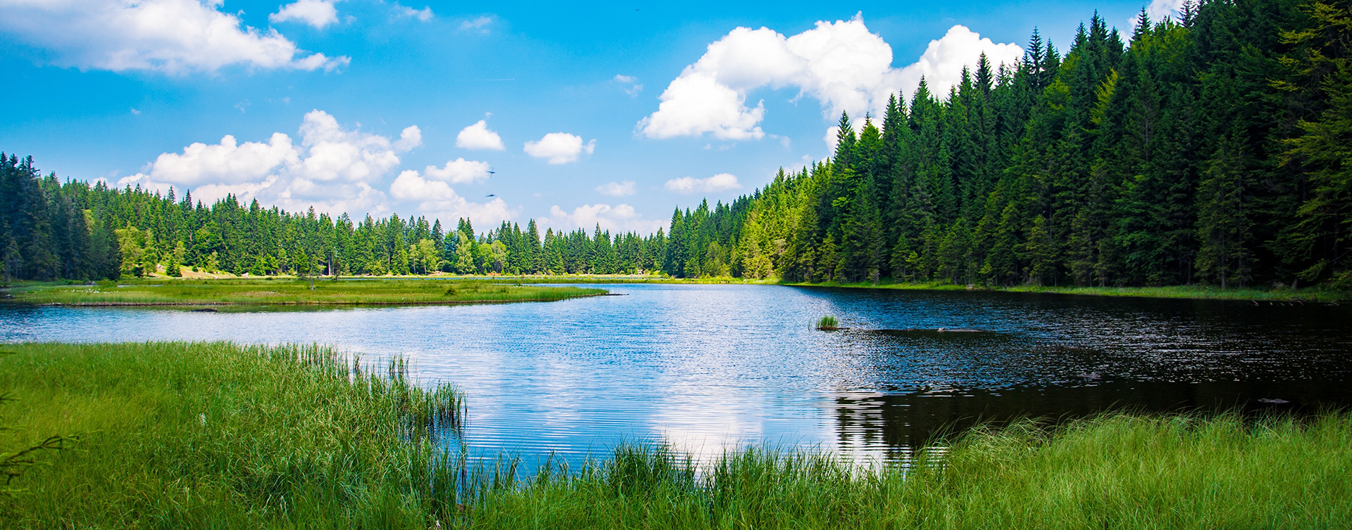 index_bg02
