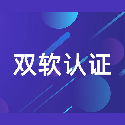 双软认定评估