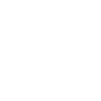 质量报表